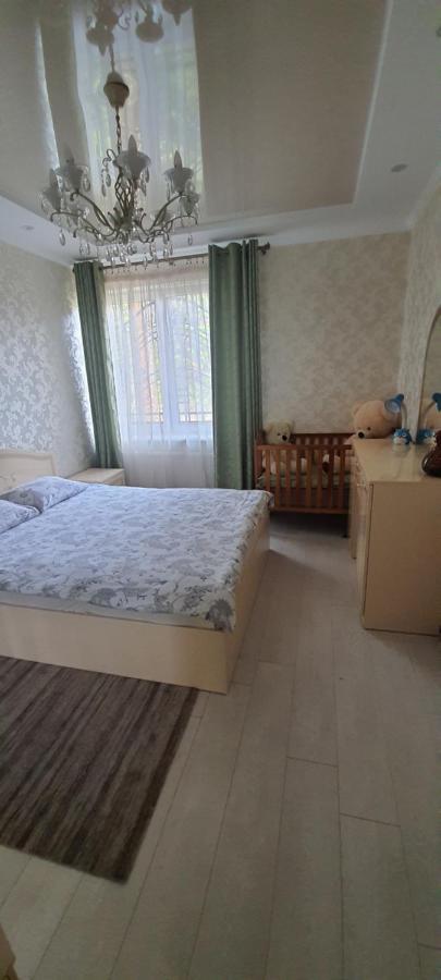 Дрогобицька 10В Апартаменти Truskavets Dış mekan fotoğraf